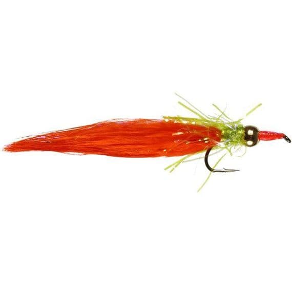 Nomad Orange