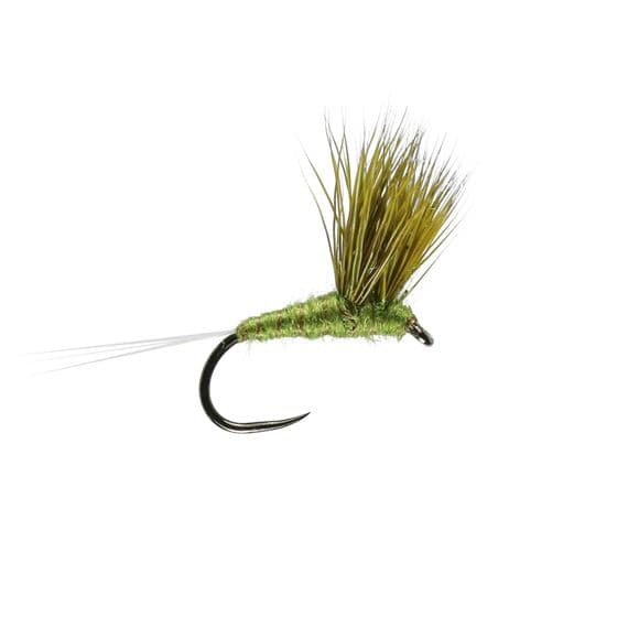 Olive Double Decker