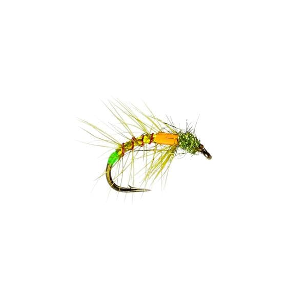 Olive Snatcher