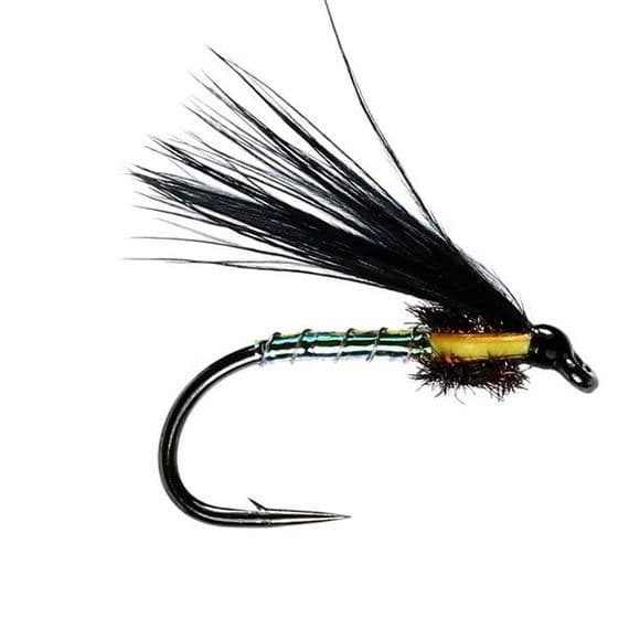 Pearly Cormorant