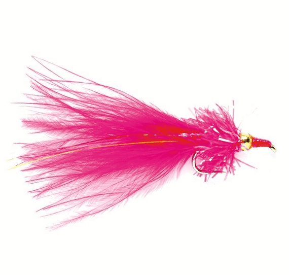 Pink Peril Nomad