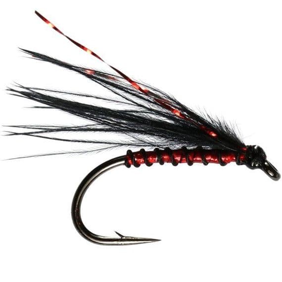Red Holo Cormorant