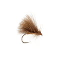 Roza's Gold Body Olive