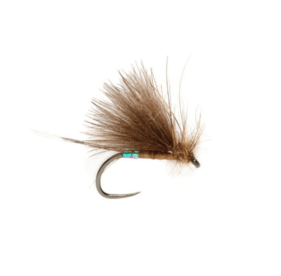 Roza's Pearl Butt Olive