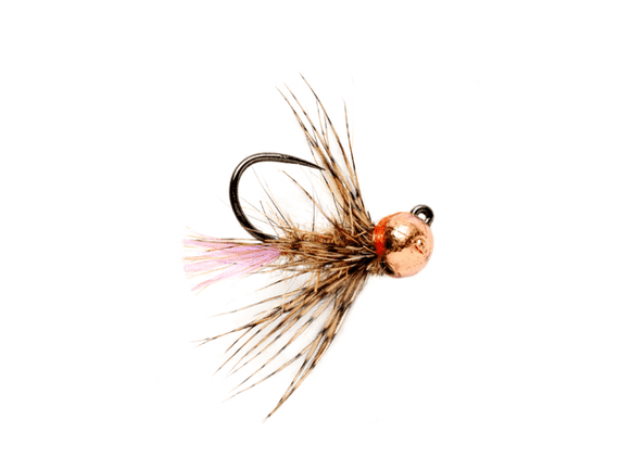 Roza's Violet Jig
