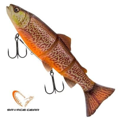3D Line Thru Trout Swim Bait Slow Sink