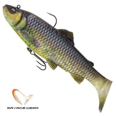 3D Trout Rattle Shad lure Fast Sink