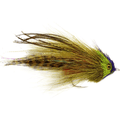 Serge's Wrasse Olive