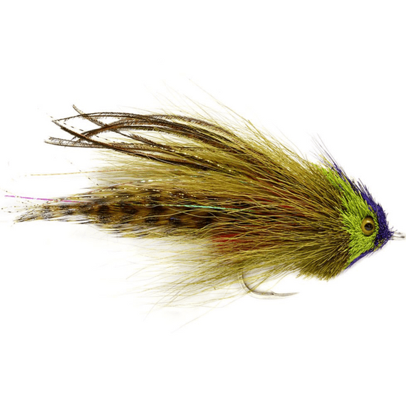 Serge's Wrasse Olive