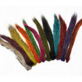 Grey Squirrel tail