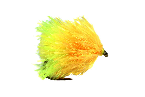 Sunburst and Chartruese FAB