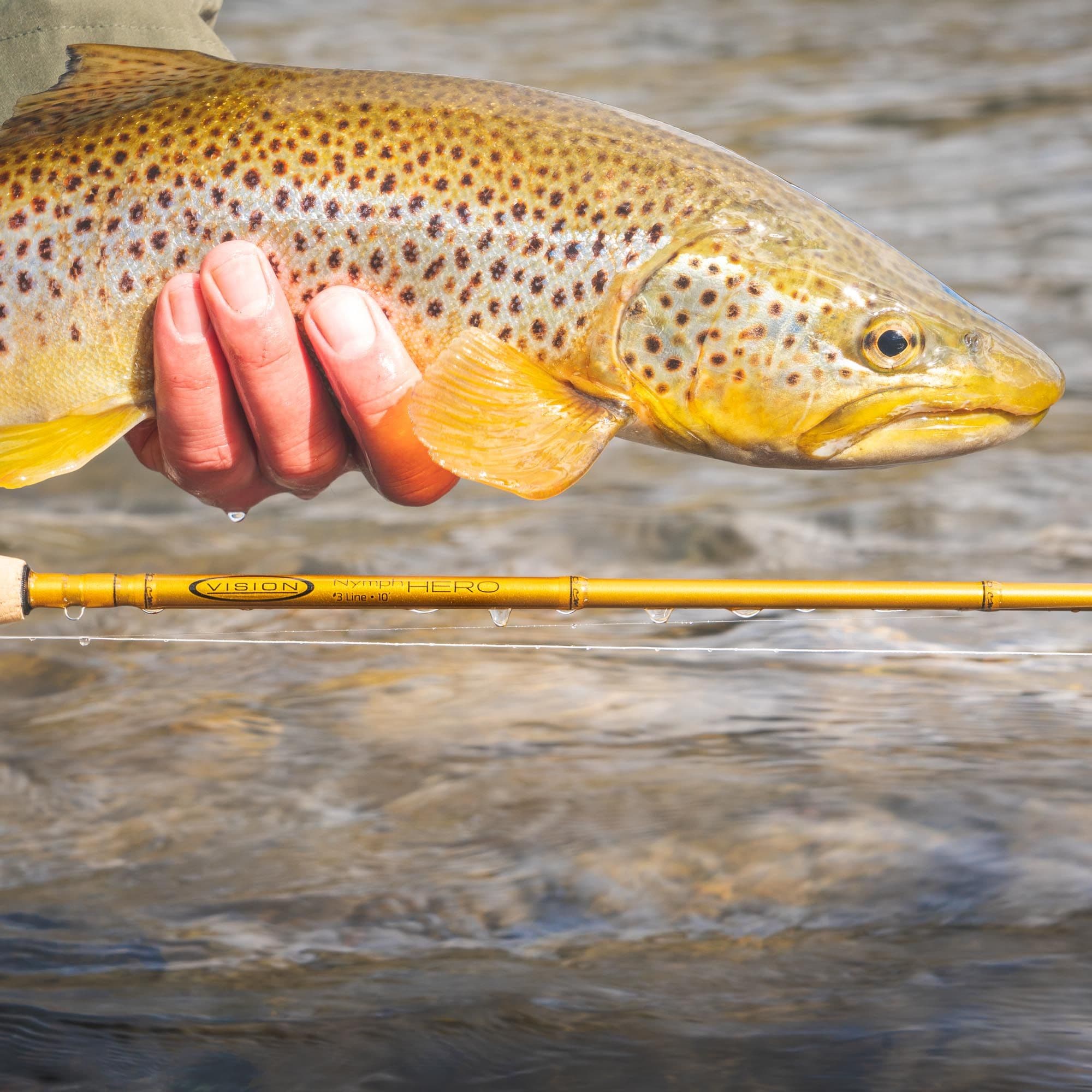 Vision Hero Fly Rod