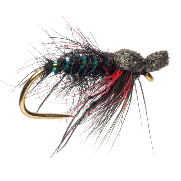 A close-up of a fly fishing lure on a solid white background. The lure features a gold-colored hook, a black body wrapped with iridescent green and blue beads, a fuzzy gray head, and red and black hackle feathers.