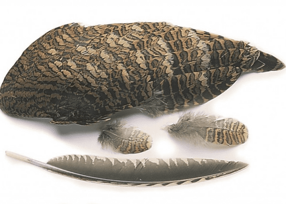 Woodcock Wings