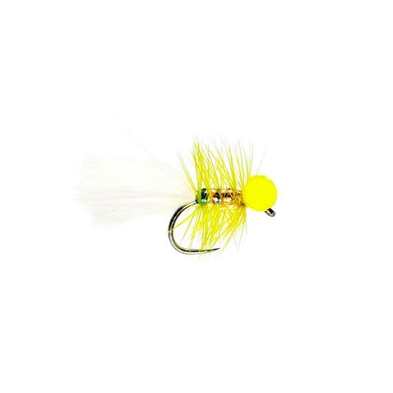 Yellow Dancer Booby