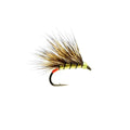 Yellow Owl Sedgehog