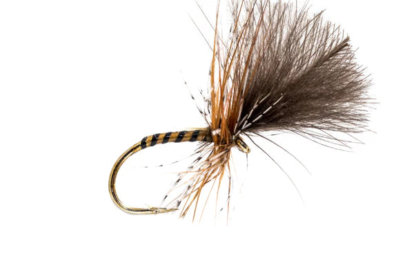 Fly fishing fly with brown and black feathers on a white background